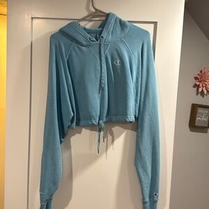 cropped champion hoodie